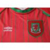 1994-96 Wales Home retro football jersey