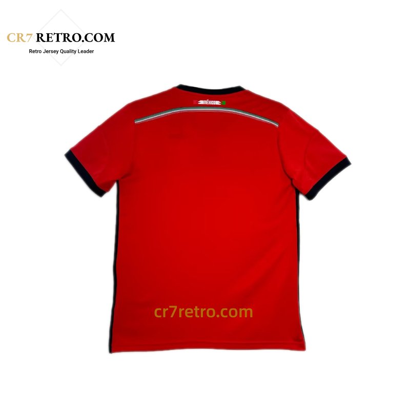 Mexico 2014 home jersey replica