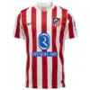 Atletico Madrid Away Jersey 2025/26 (Copy)