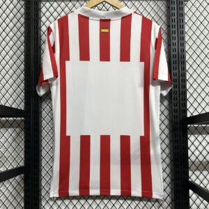 Atletico Madrid Away Jersey 2025/26 (Copy)