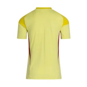 Celtic Goalkeeper Soccer Shirt 2025/26