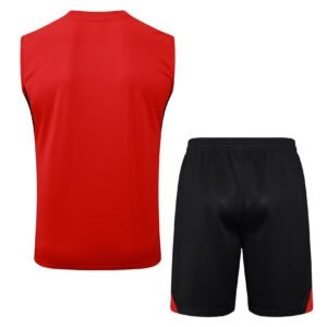 Arsenal Training Vest Red Kit 2025/26