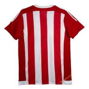 Retro Southampton Home Jersey 2015/16