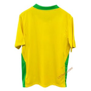 Brazil Home Jersey Copa America 2025