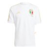 Italy 125th Anniversary Jersey