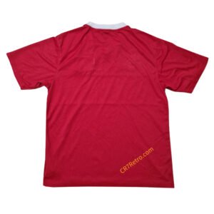 Retro Turkey Home Jersey 2008/09