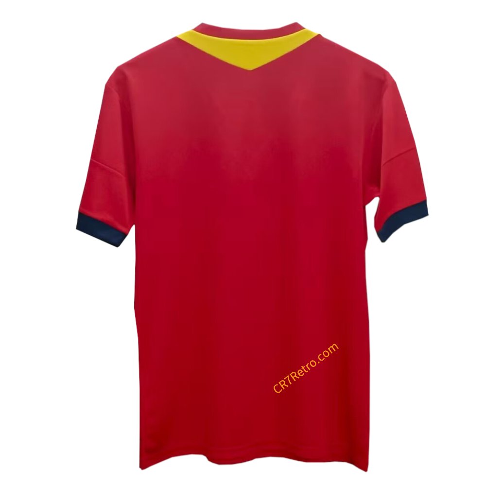 Retro Spain Home Jersey 2013